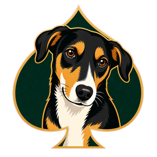 Marotto, mascote Poker Marotto